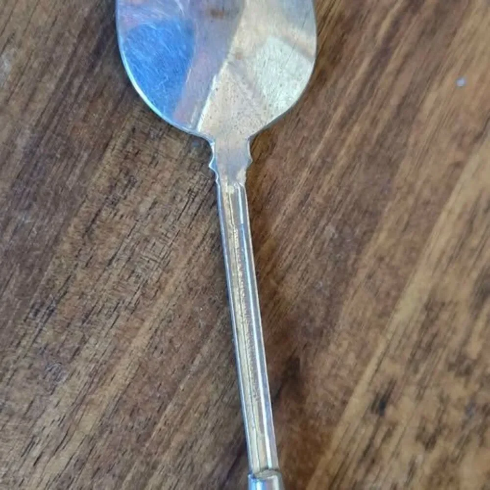 Vintage Canada Maple Leaf Enamel Souvenir Spoon The Bucket List Collectible 4.5